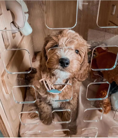 Luxury Handcrafted Bentwood Pet Crate