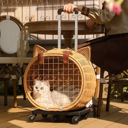 Hand Woven Outdoor Pet Trolley