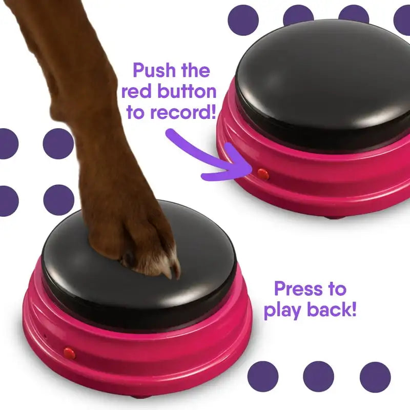4 Recordable Buttons Pet Starter Set
