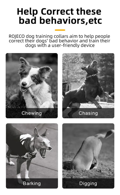 Rechargeable Remote Control IPX7 Dog Collar