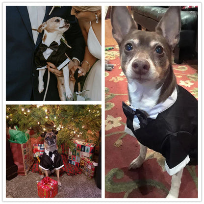 Stylish Dog Black Tie Tuxedo