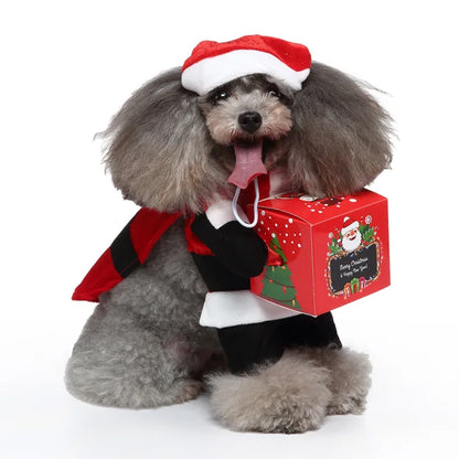 Funny Santa Dog Costume