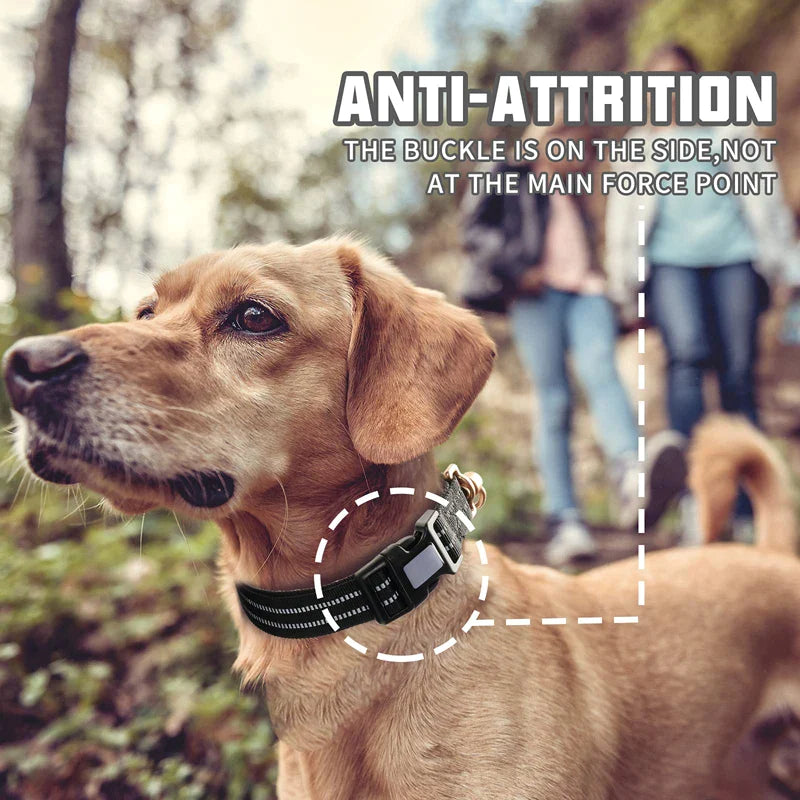 Heavy Duty Adjustable Metal D Ring Dog Collar