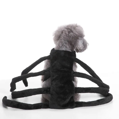 Funny Black Spider Dog Costume