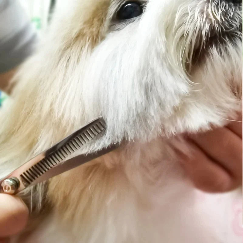 Premium Stainless Steel Dog Scissors