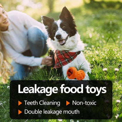 Bone Teething Tough Dog Toy