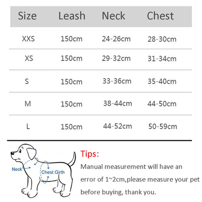 Escape Proof Cat Harness & Leash Set