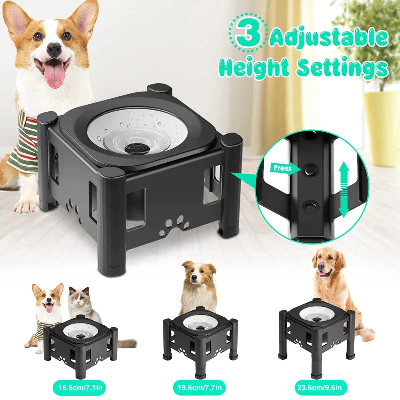 Elevated 3 Height Pet Water Bowl