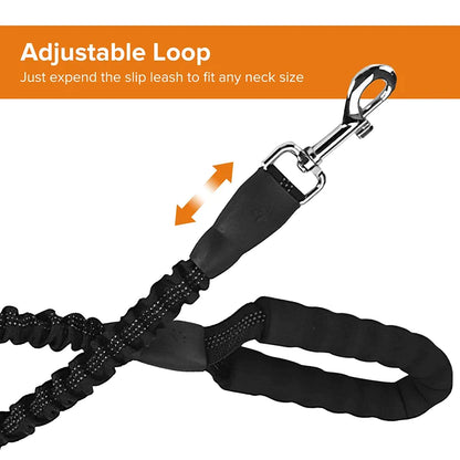 Heavy-duty Metal Clasp Dog Lead