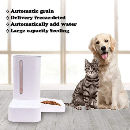 2 In 1 Eco-friendly Automatic Pet Feeder