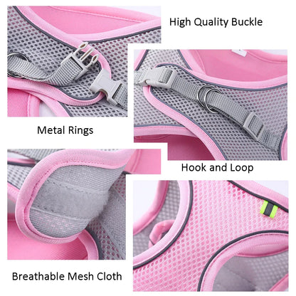 Escape Proof Cat Harness & Leash Set