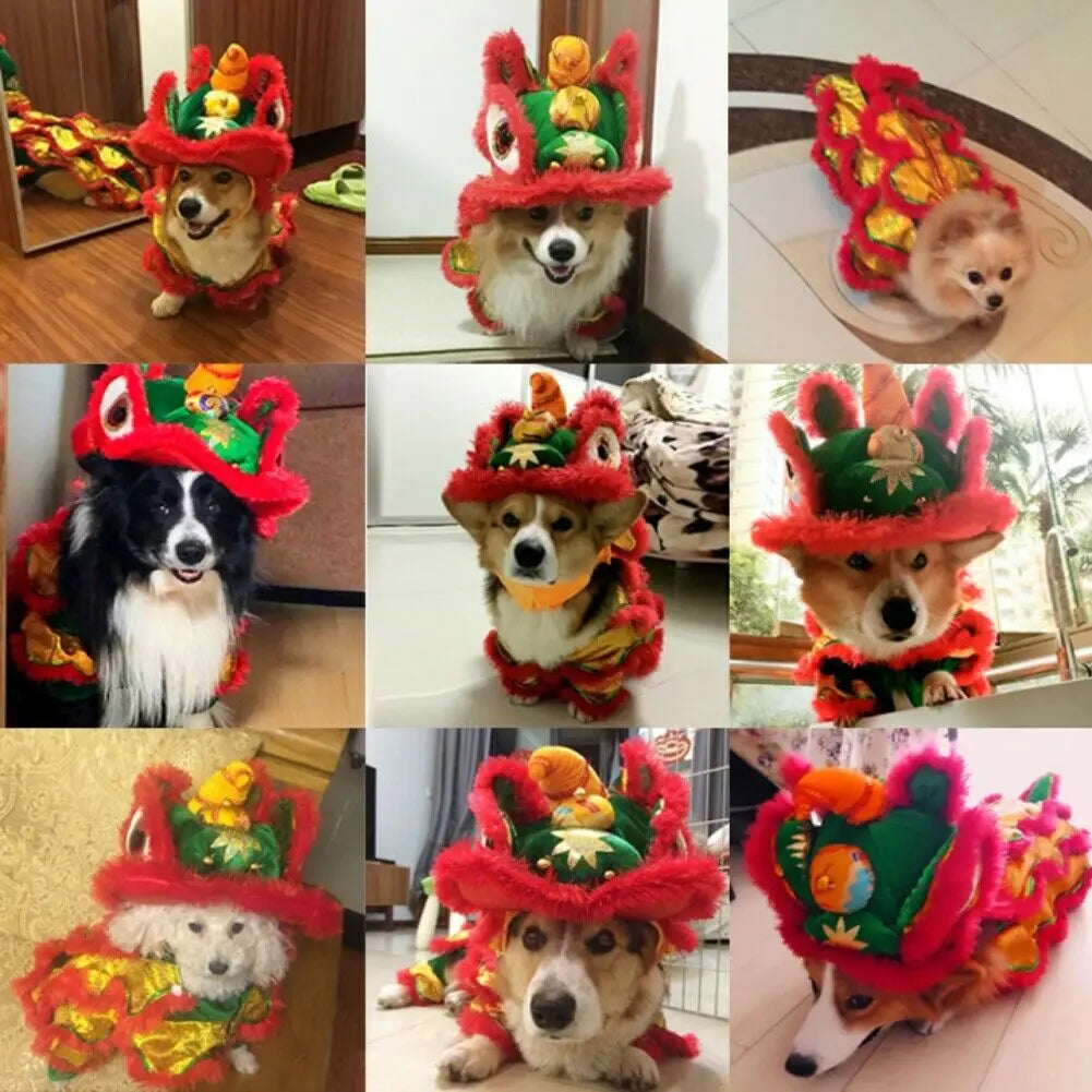 Dragon Dance Funny Dog Costume