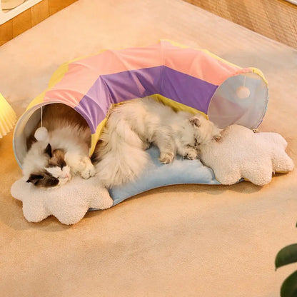 2 In 1 Rainbow Cat Maze & Tunnel