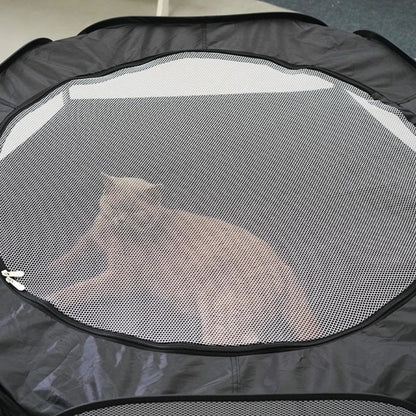Collapsible Cat Tunnel Hideaway Tube