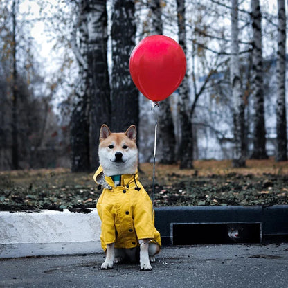Waterproof Nylon Dog Raincoat