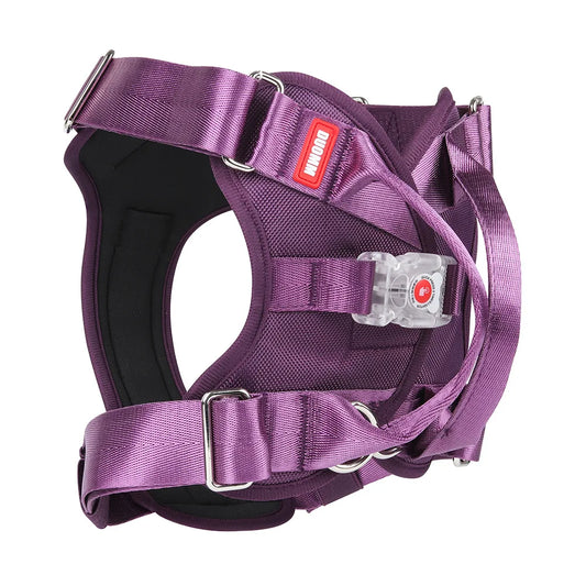 Explosion Proof Big Dog Harness With Led Light