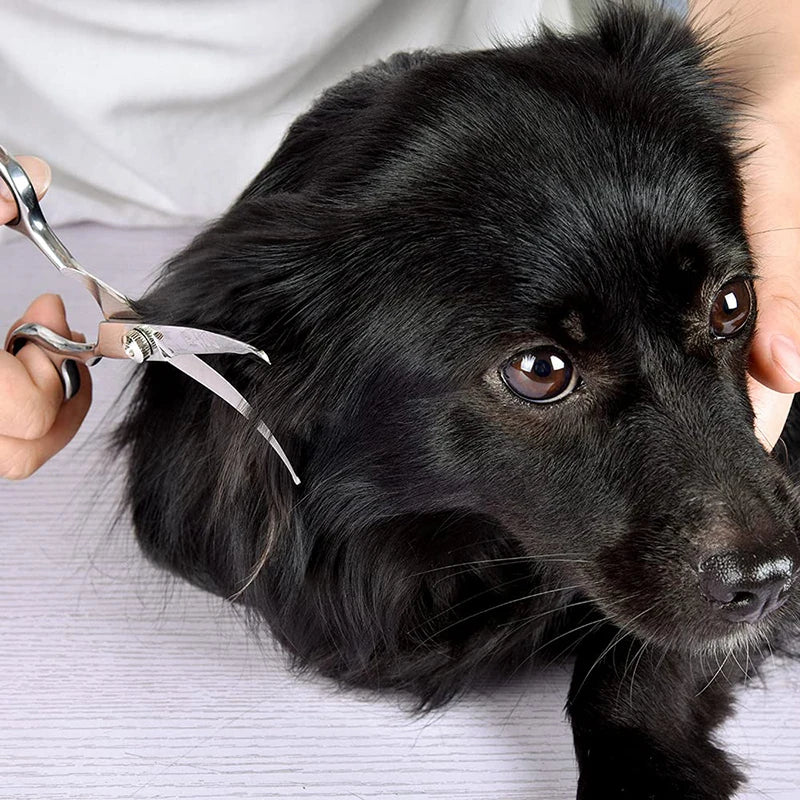 Stainless Steel Curved Dog Scissors