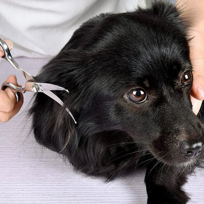 Stainless Steel Curved Dog Scissors