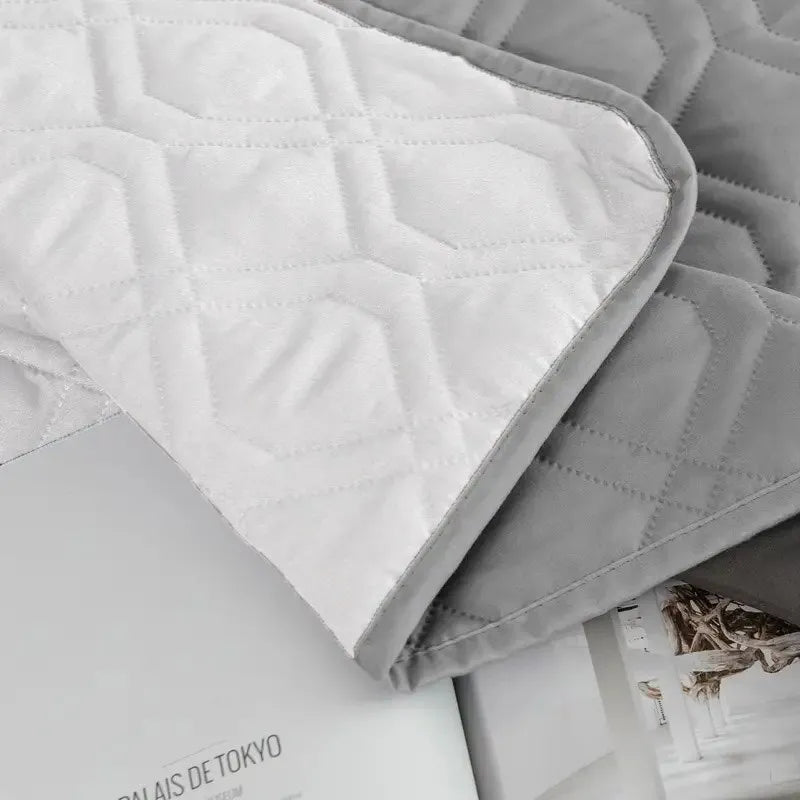 Leak Proof Dog Pee Cover Mat