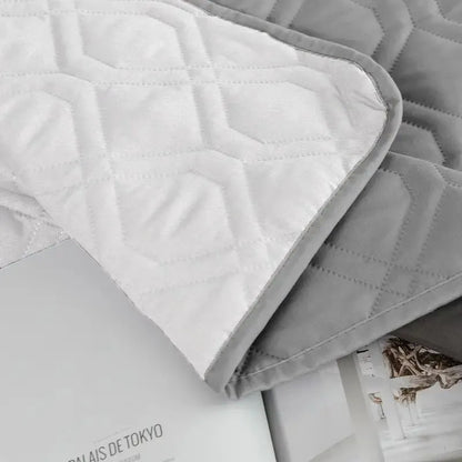 Leak Proof Dog Pee Cover Mat