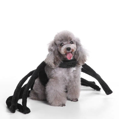 Funny Black Spider Dog Costume