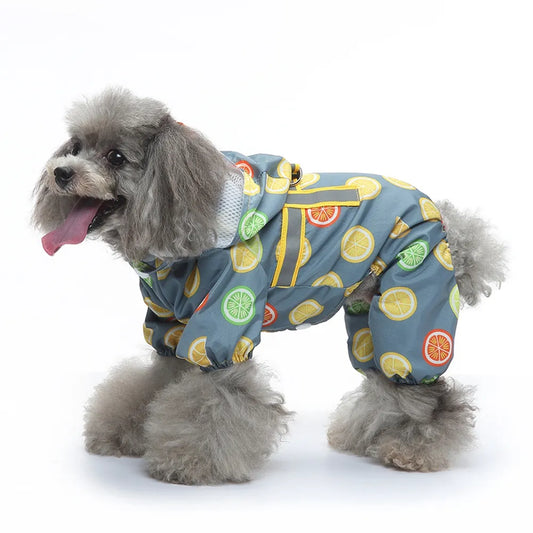 Fruit Print Waterproof Pet Raincoat