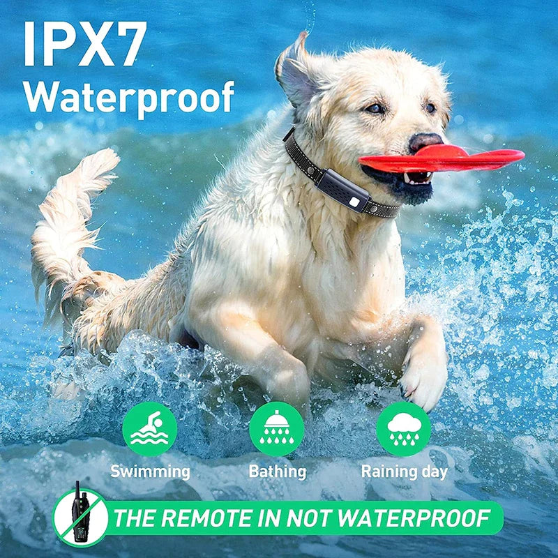 High End Dog Remote Training Collars