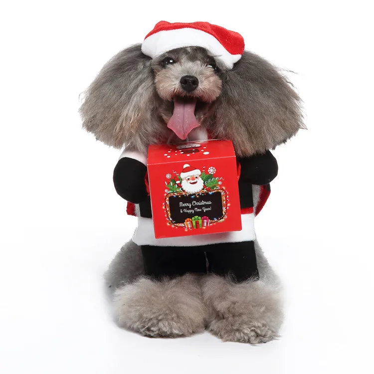 Funny Santa Dog Costume