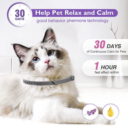 4PCS Effective Safe Cat Calming Collars
