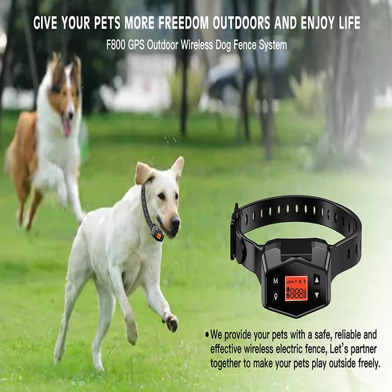 GPS Outdoor Wireless Dog System