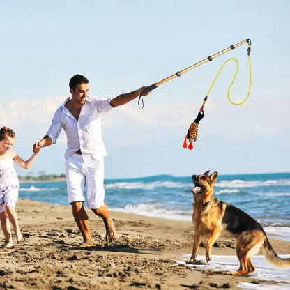 Extendable Dog Teaser Wand Toy