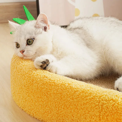 Cute Pineapple Cat Scratcher Board
