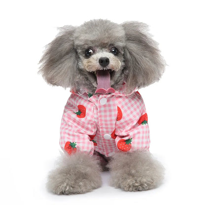 Fruit Print Waterproof Pet Raincoat