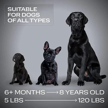 USB Rechargeable Ultrasonic Pet Dog Repeller