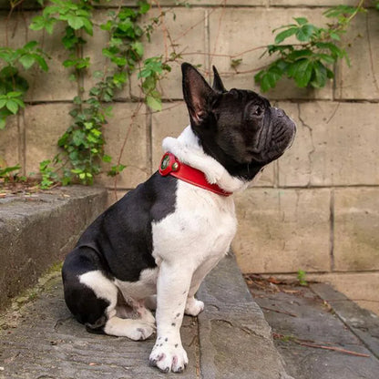 Luxury Genuine Leather Pet AirTag Collar