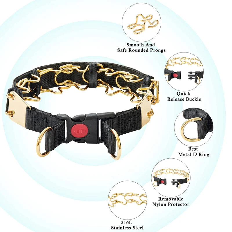 Heavy Duty Chain Dog Prong Collars