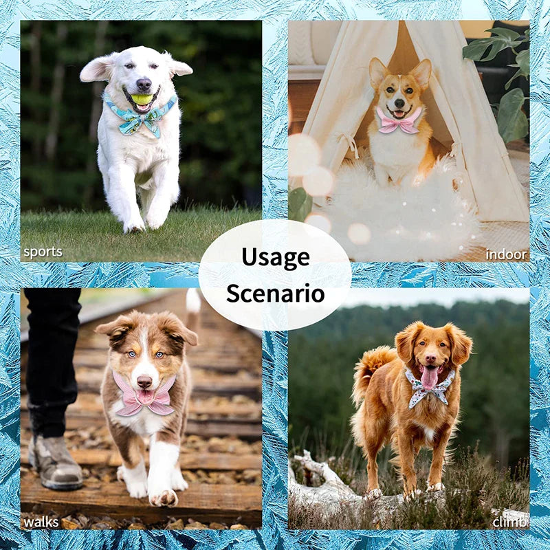 3 Pack Dog Cooling Collar