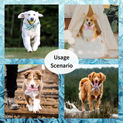 3 Pack Dog Cooling Collar