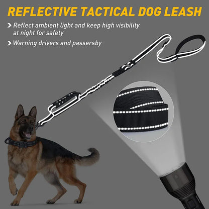 No Pull Bungee Dog Training Leash