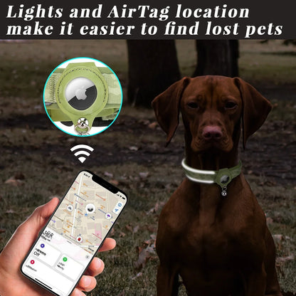 Reflective Big Dogs AirTag Collar