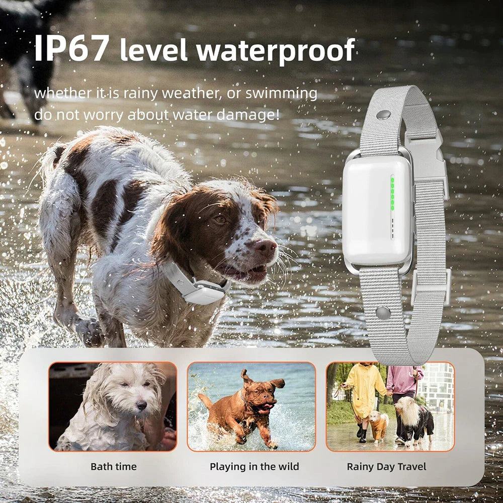 1000M Deep Waterproof Dog Bark Collar