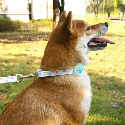 Silicone Cute Pet AirTag Collar & Lead