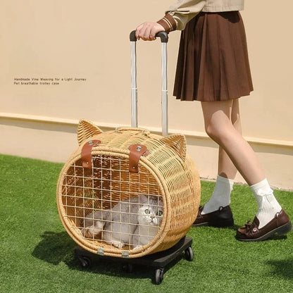 Hand Woven Outdoor Pet Trolley