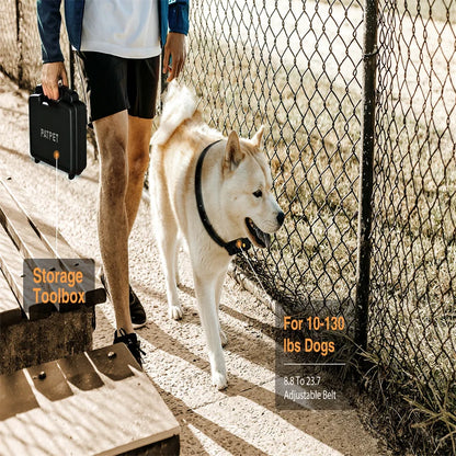 2 Channels Waterproof Training Collar