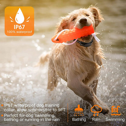 4 Modes Vibration Dog Training Collar