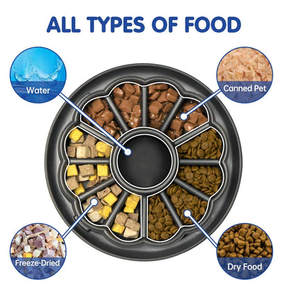 High End Dog Slow Feeder Bowl