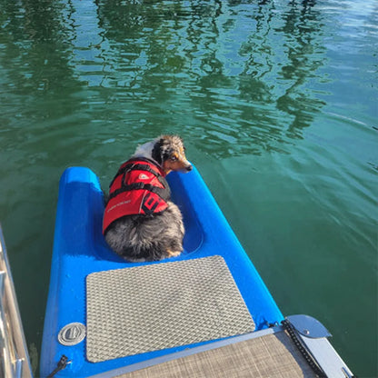 Portable Inflatable Pet Water Ramp