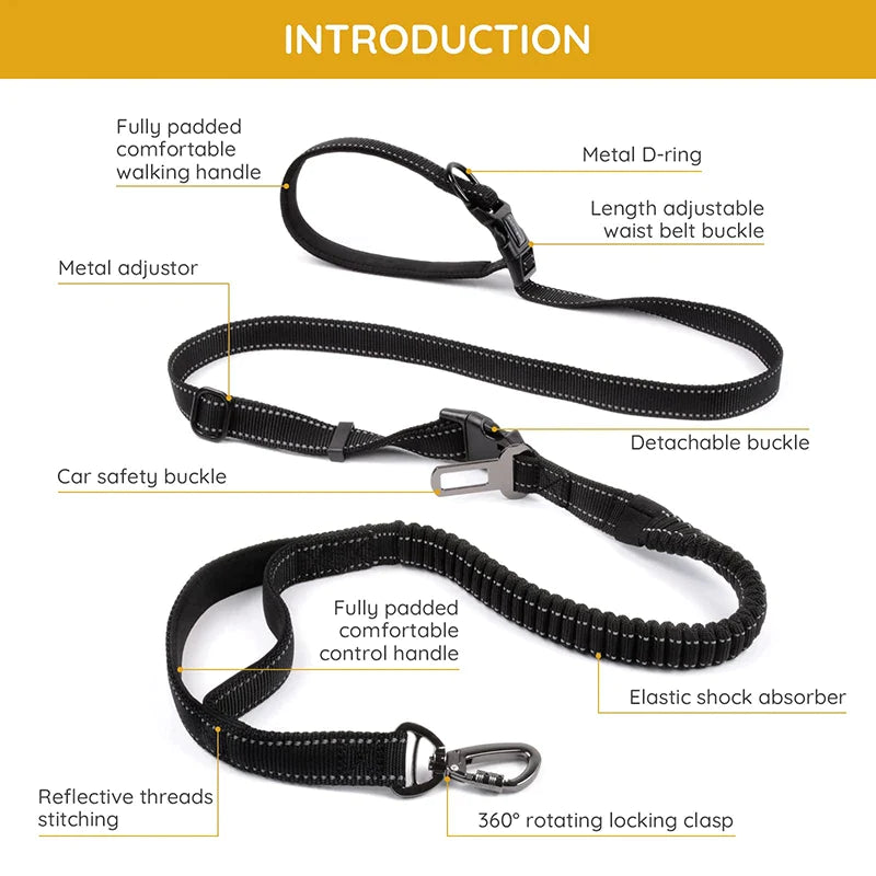 6 In 1 Adjustable Hands Free Dog Leash