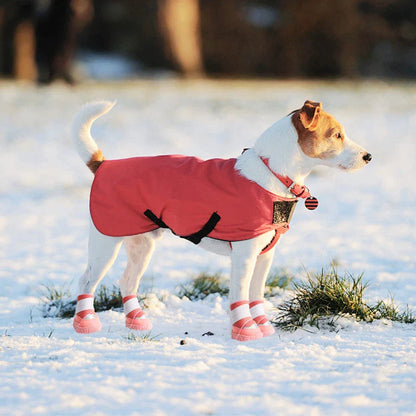 Winter Snow Breathable Dog Shoes