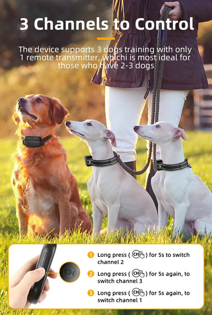 Rechargeable Remote Control IPX7 Dog Collar